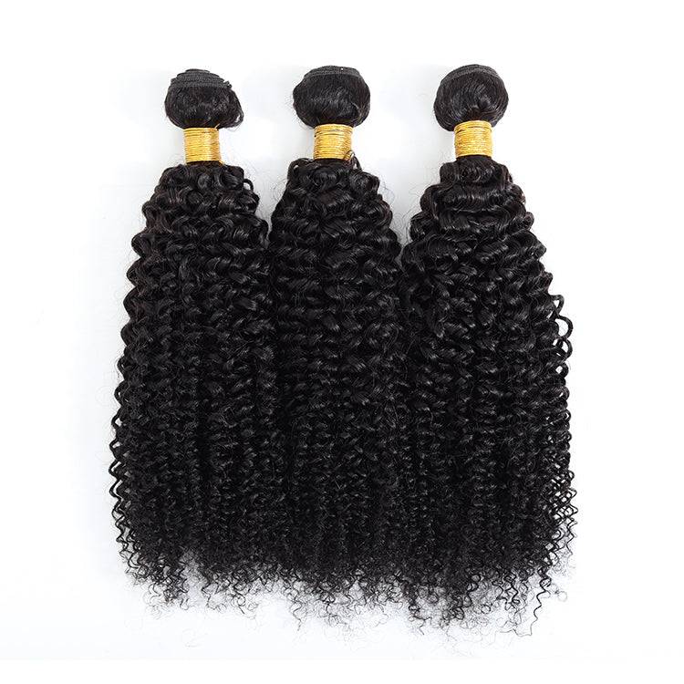 Afro Kinky Curly Bundle - Litty & Pretty